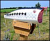 tnMailbox1.jpg- 3953 Bytes
