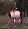 tnlb23.jpg - 3953 Bytes