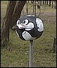 tnlb24.jpg - 3953 Bytes
