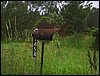 tnpic0011.jpg - 3953 Bytes